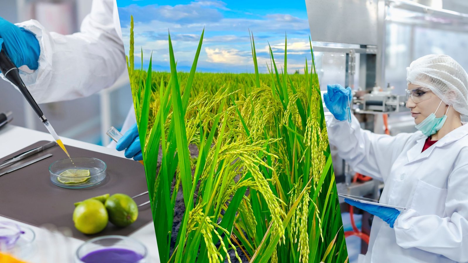 Quality Assurance Background